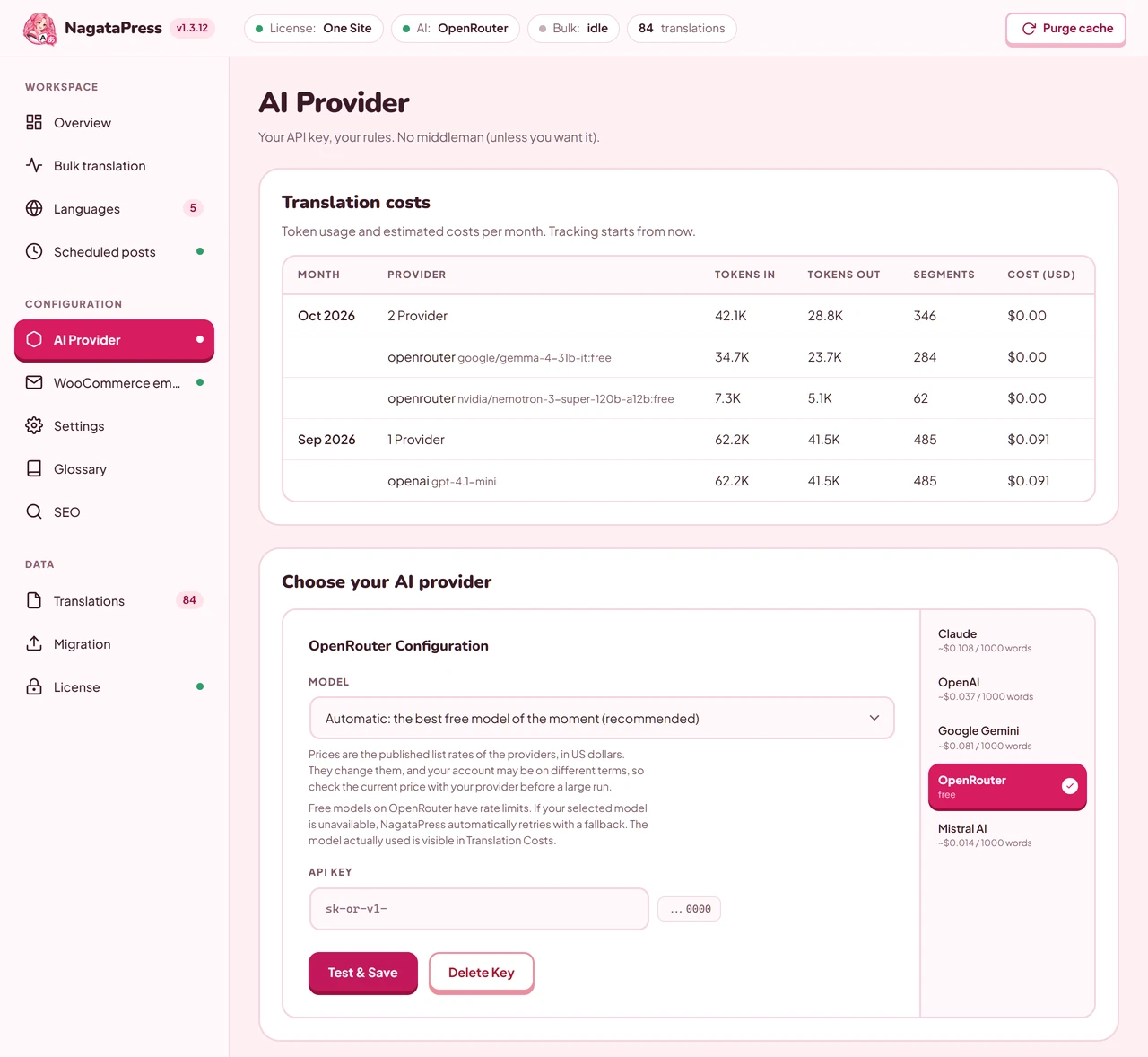 The AI Provider screen with the provider tabs, the model list, the API key field and the monthly translation costs
